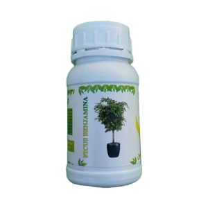 کود فیکوس بنجامین